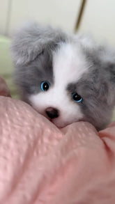 Handcrafted Lifelike Grey Border Collie Plush