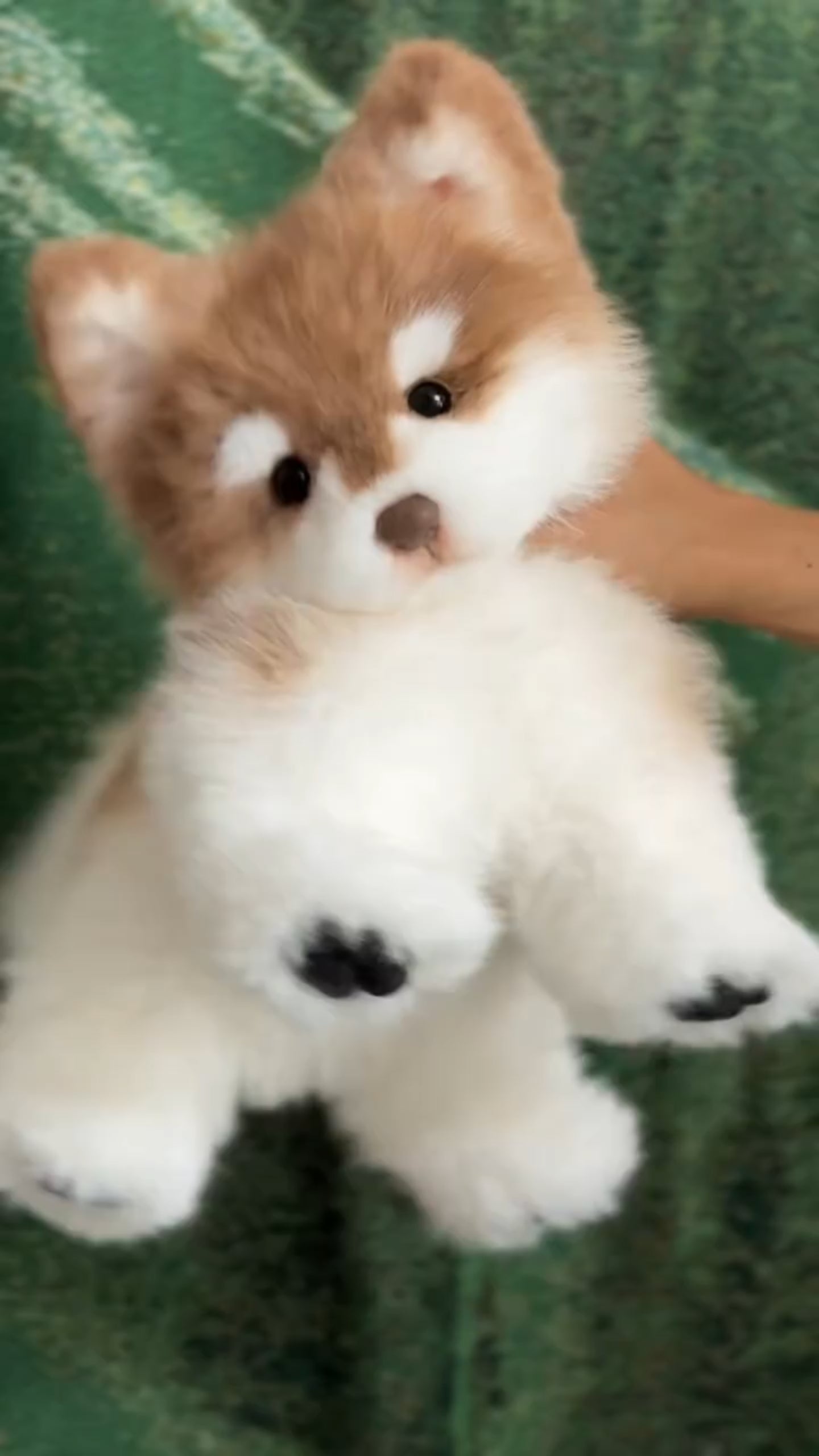Handcrafted realistic Alaskan Malamute puppy plush Standing Version