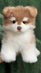 Handcrafted realistic Alaskan Malamute puppy plush Standing Version
