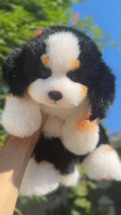 Handcrafted Realistic Bernese Mountain Dog Plush