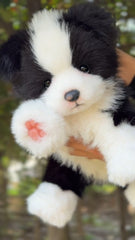 Handcrafted Realistic Black-and-White Border Collie Plush