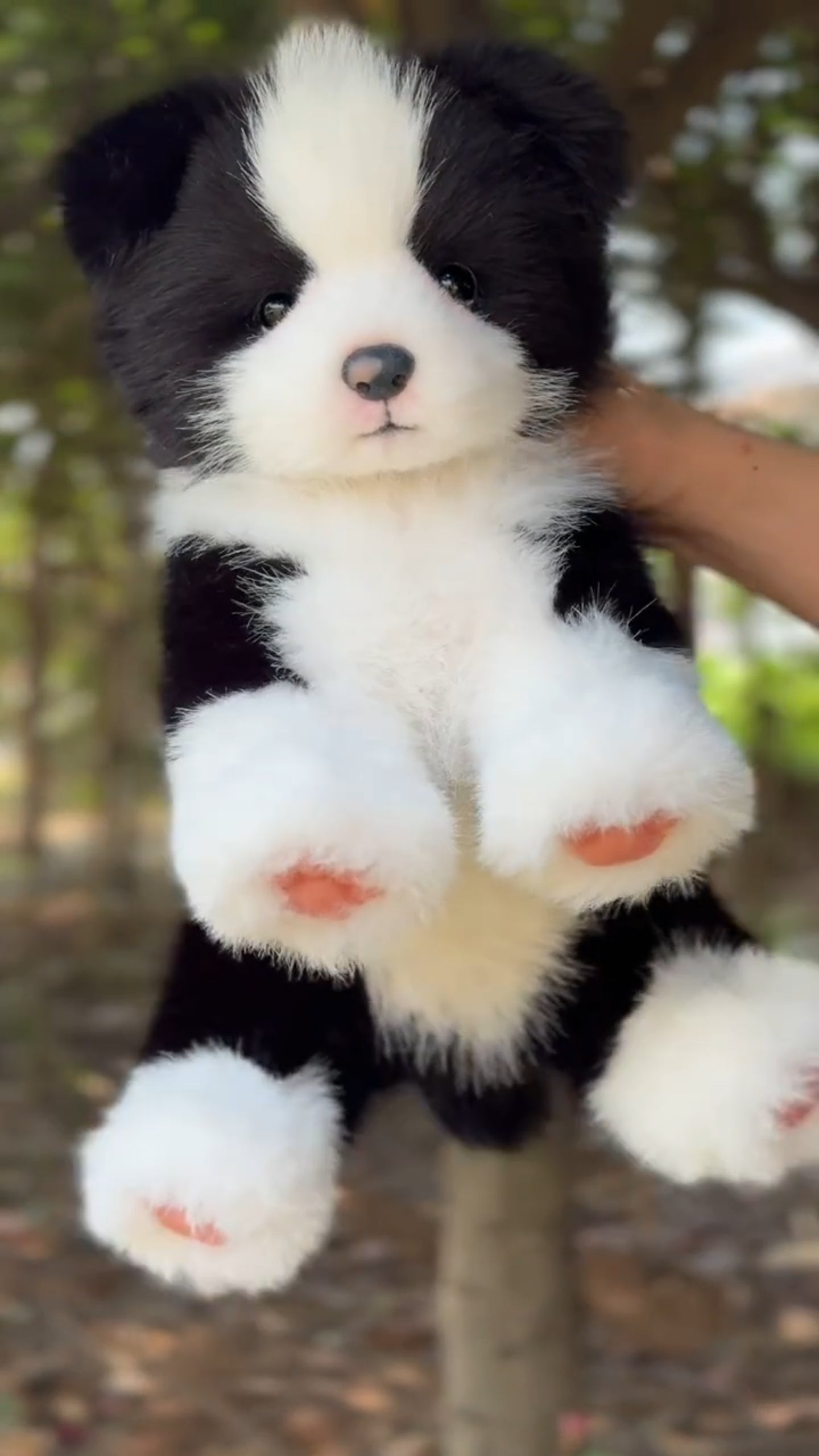 Handcrafted Realistic Black-and-White Border Collie Plush
