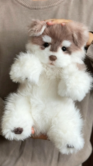 Handcrafted realistic Alaskan Malamute puppy plush Cuddle Version