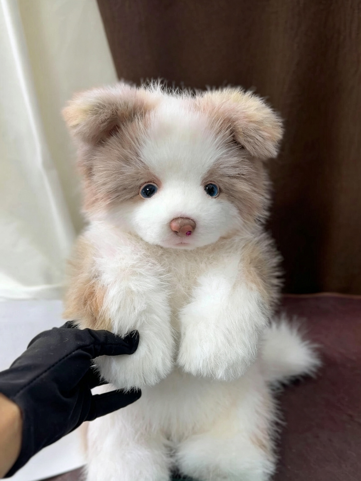 Handcrafted realistic Chocolate Border Collie puppy plush