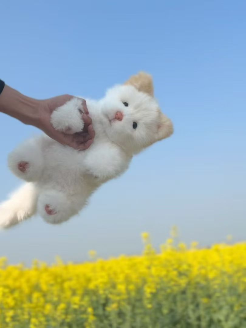 Handcrafted Realistic White Tusu puppy