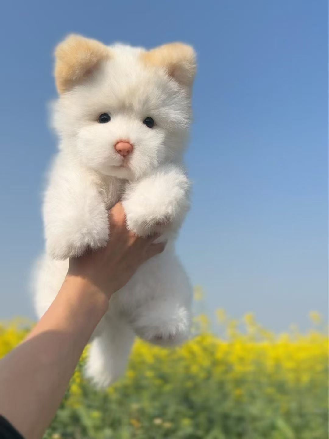 Handcrafted Realistic White Tusu puppy
